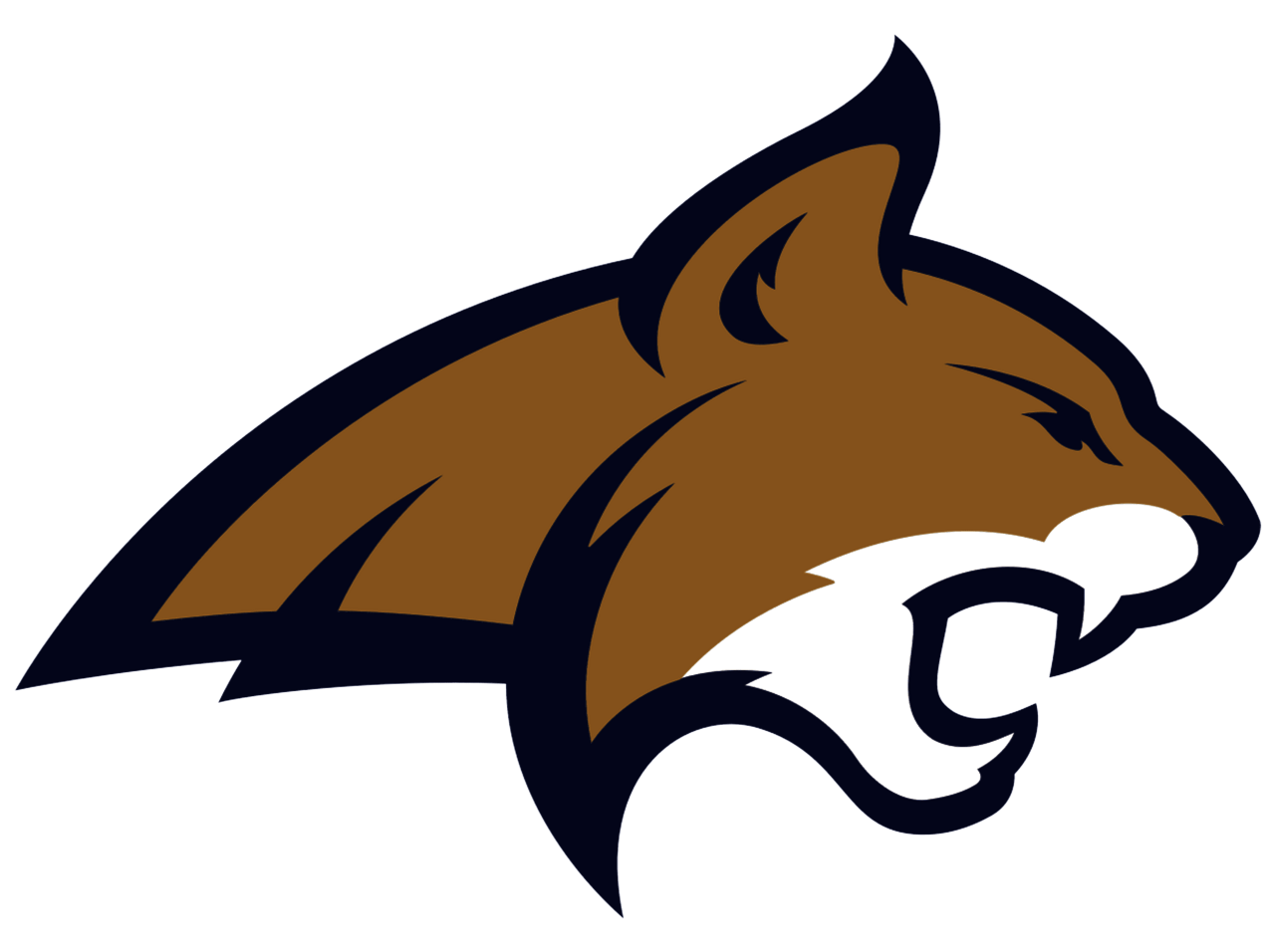 Montana State University Bobcats