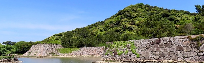 cover-image