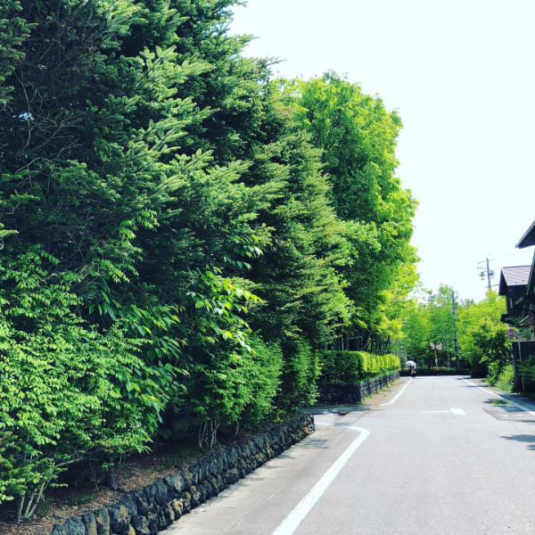 豊かな自然に囲まれながら、お仕事なんでどうでしょう。