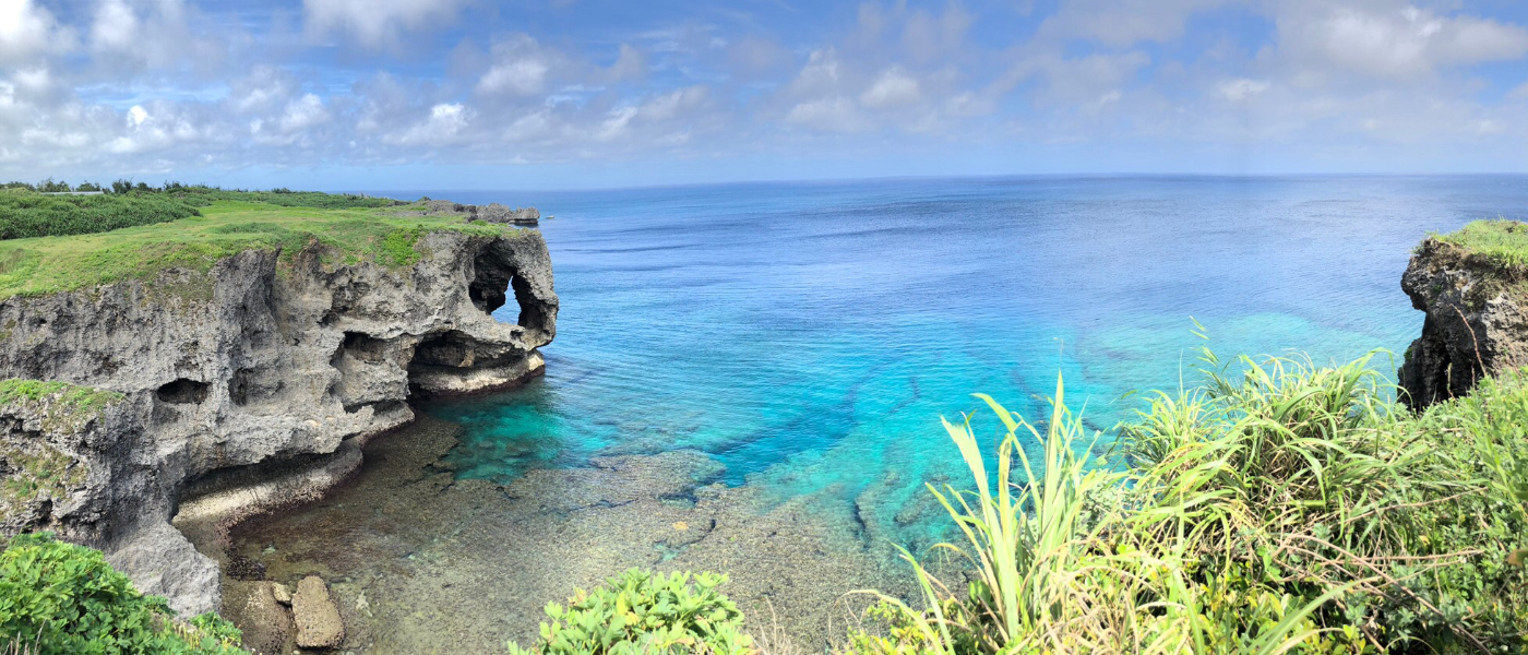 cover-image