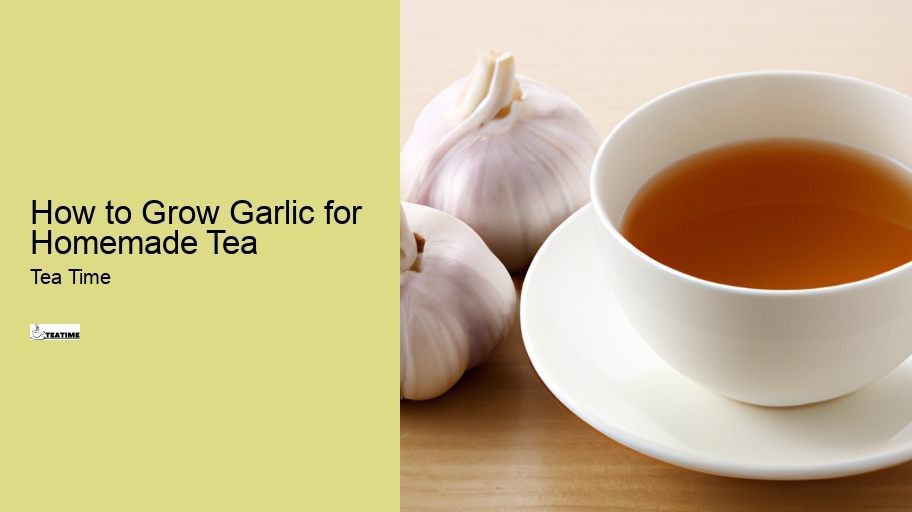 How to Grow Garlic for Homemade Tea