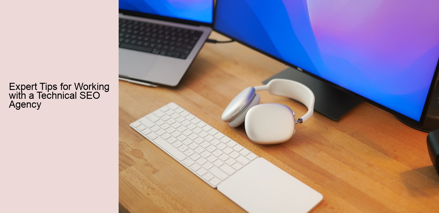 Expert Tips for Working with a Technical SEO Agency