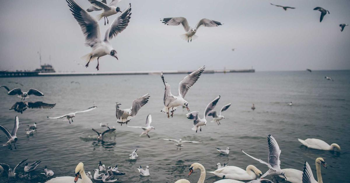The Post-Launch SaaS Checklist: 30 Things Most Teams Skip