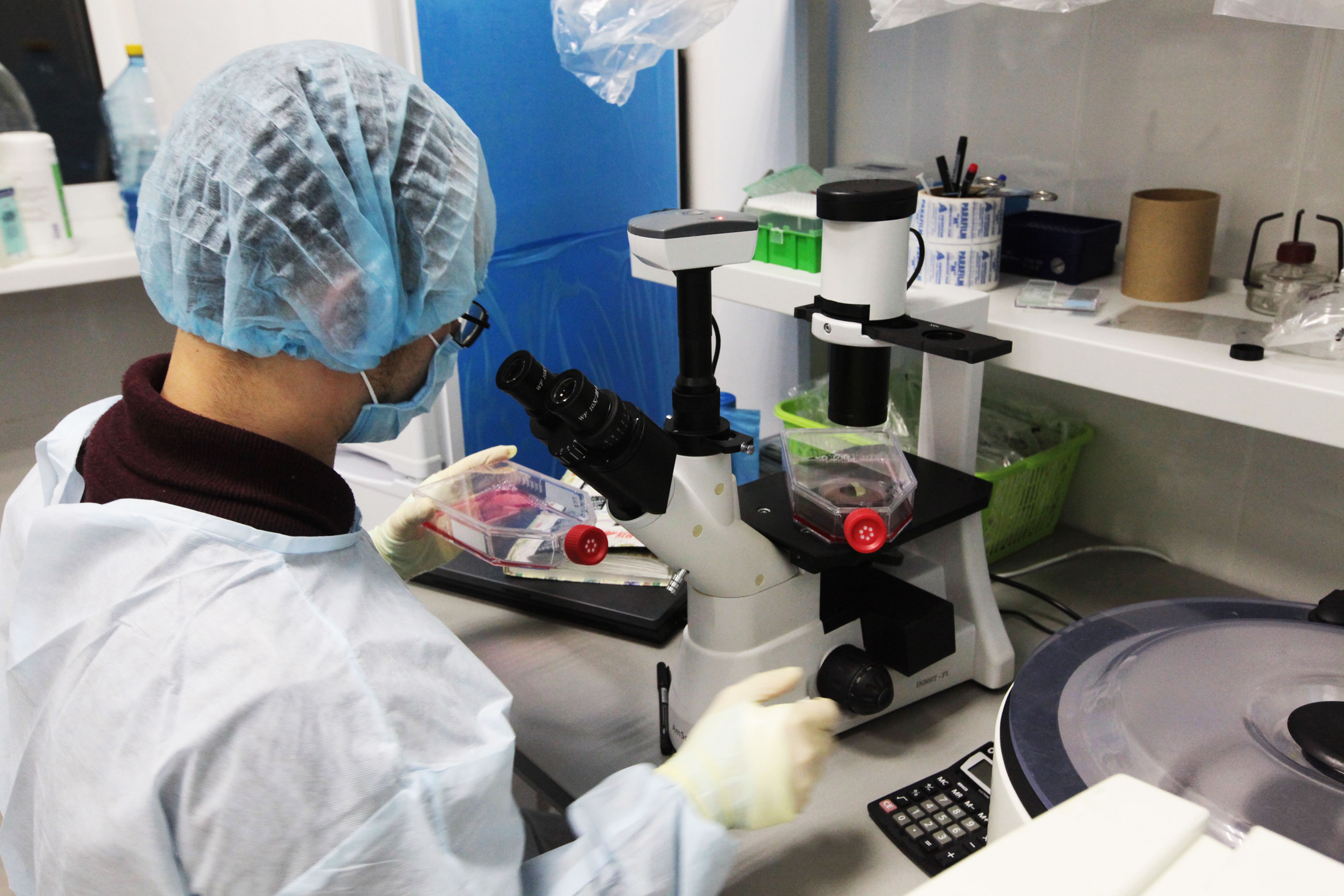 Un investigador en el Instituto de Gerontología en Kiev, Ucrania, donde un biohacker estadounidense ha pagado por la investigación utilizando Bitcoin.