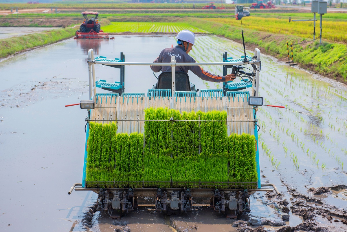 Smart Farming 