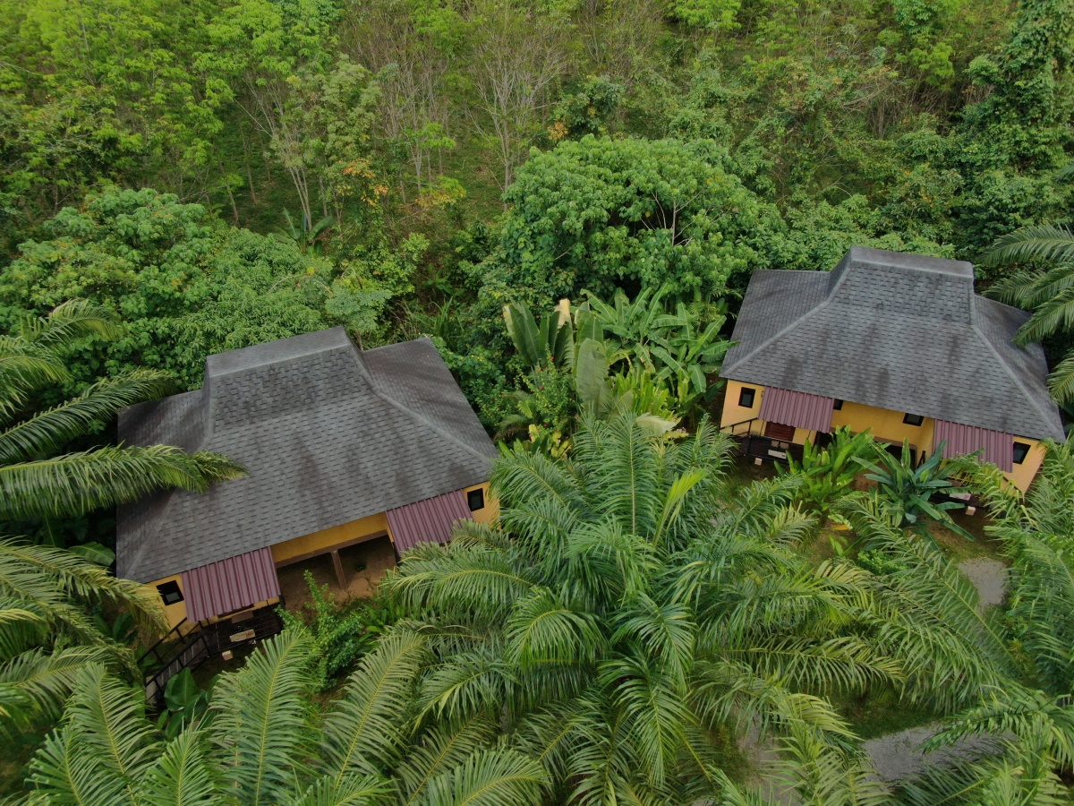 Eco-Lodges