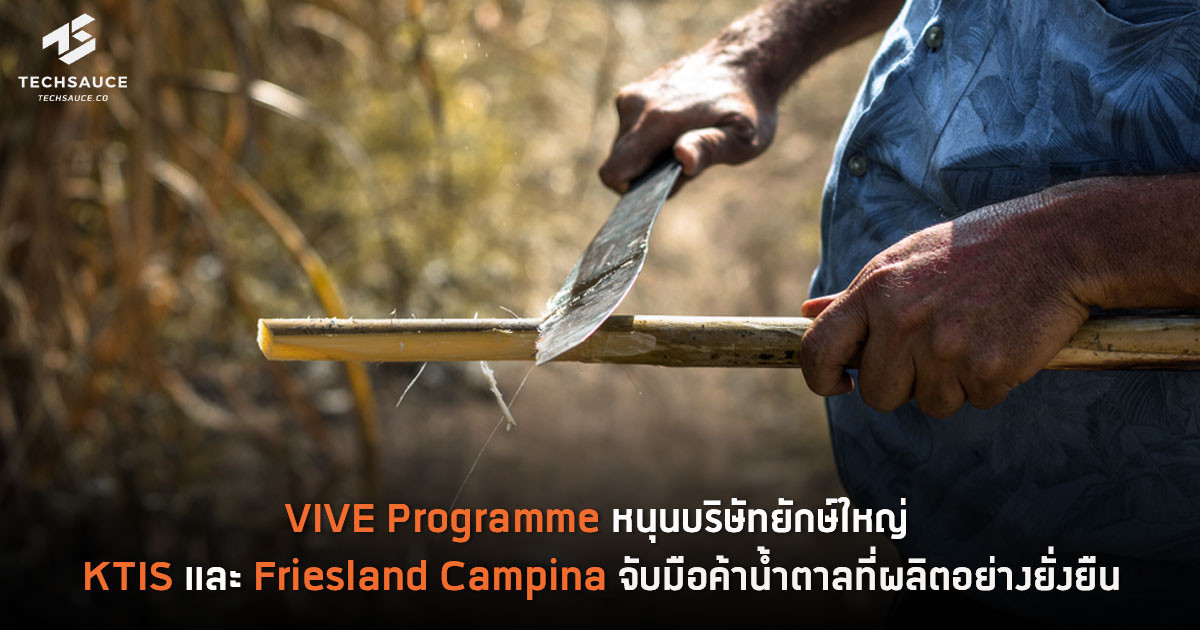 frieslandcampina สมัคร งาน it support