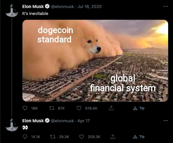 elon musk,tweet,dogecoin