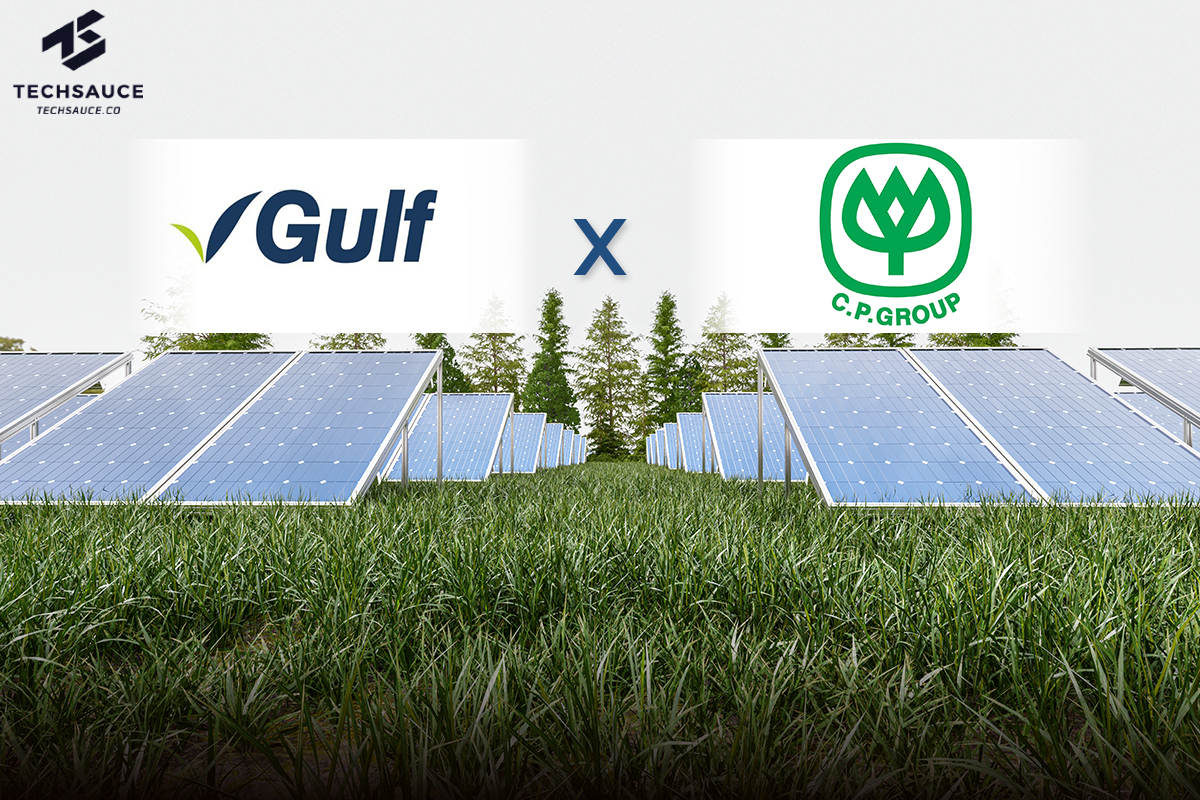 GULF ร่วมทุน เครือ CP ตั้ง AG Korat  ลุยธุรกิจพลังงานแสงอาทิตย์ในโคราช
