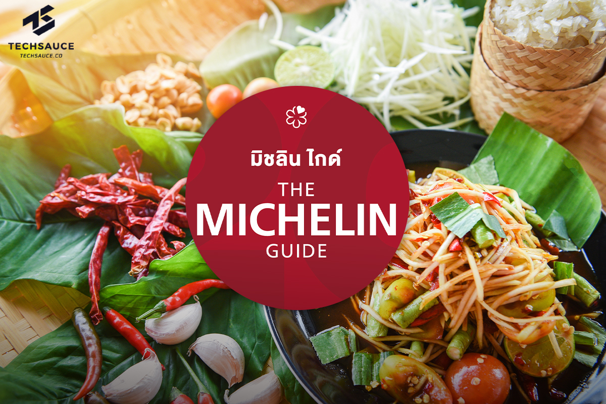 Michelin Guide ปี 6