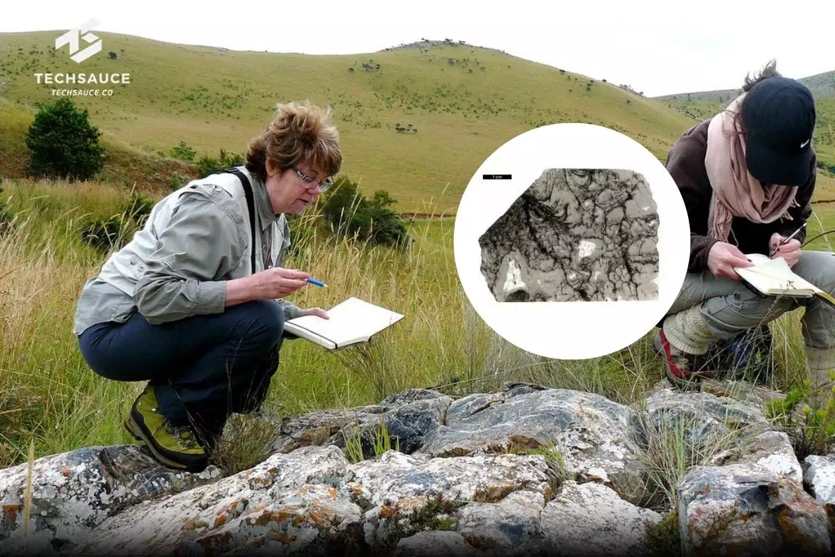 AI พบร่องรอยสิ่งมีชีวิต