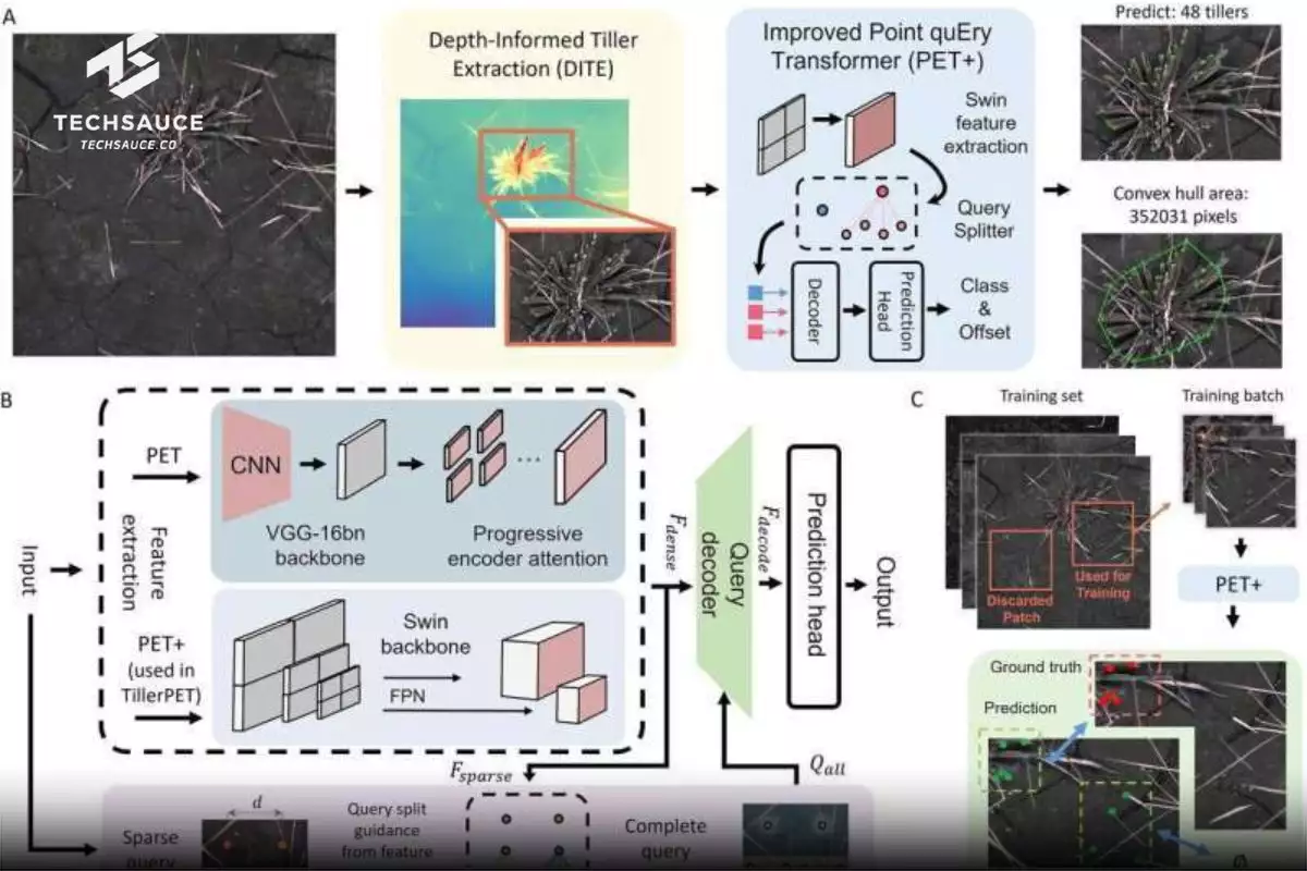 TillerPET  AI อ่านสุขภาพข้าว! 