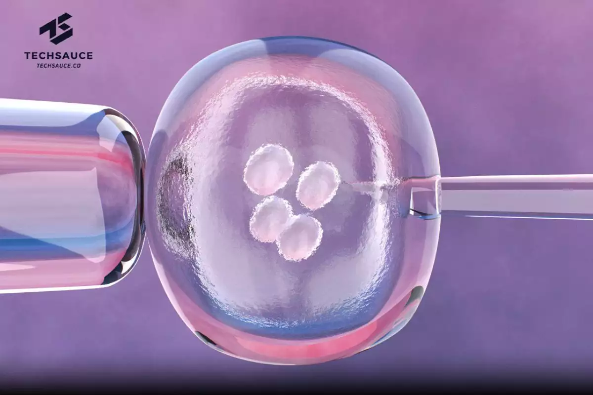 อังกฤษเผยผลทดลอง ‘เด็กหลอดแก้วจาก DNA 3 คน’