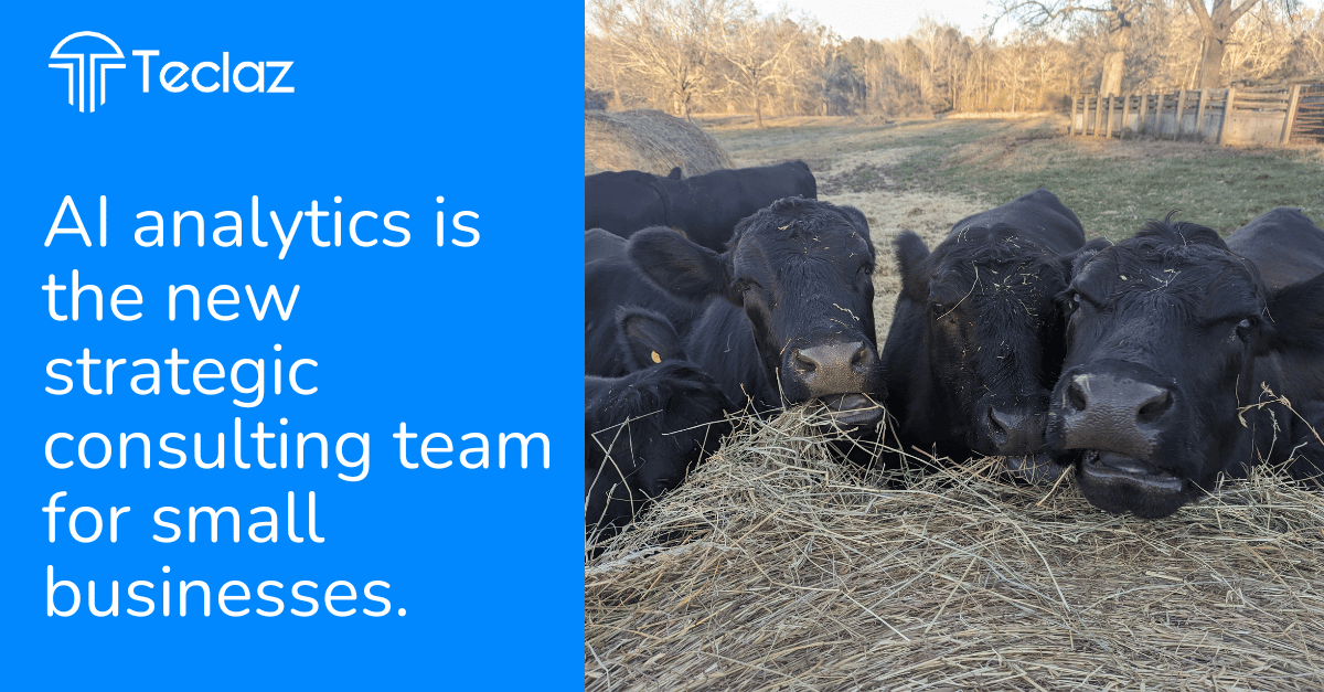 Why Do AI Solutions Tear Up the Traditional Strategy Consulting Playbook?