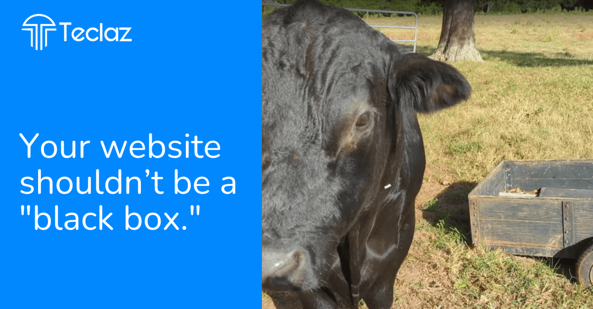 Stop Guessing. Start Growing.