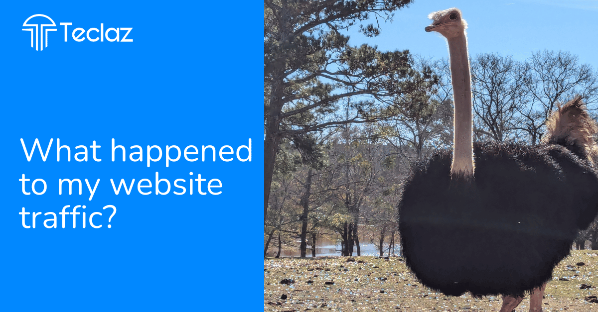 Facing the 20% Decline in US Search Traffic