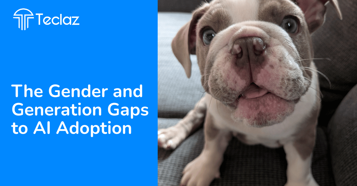 The Gender and Generation Gaps to AI Adoption Among Small Business Owners