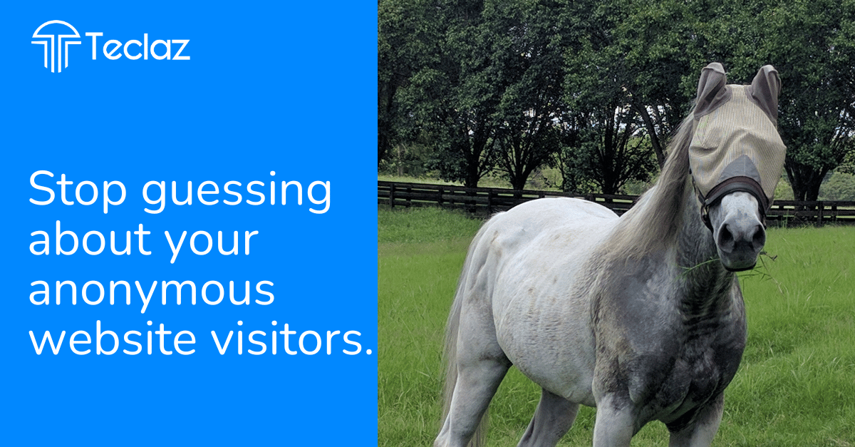 Do you know what companies are visiting your website?