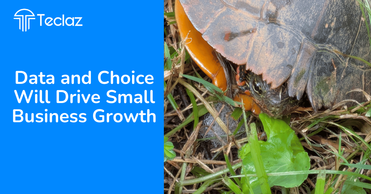 Data and Choice Will Drive Small Business Growth