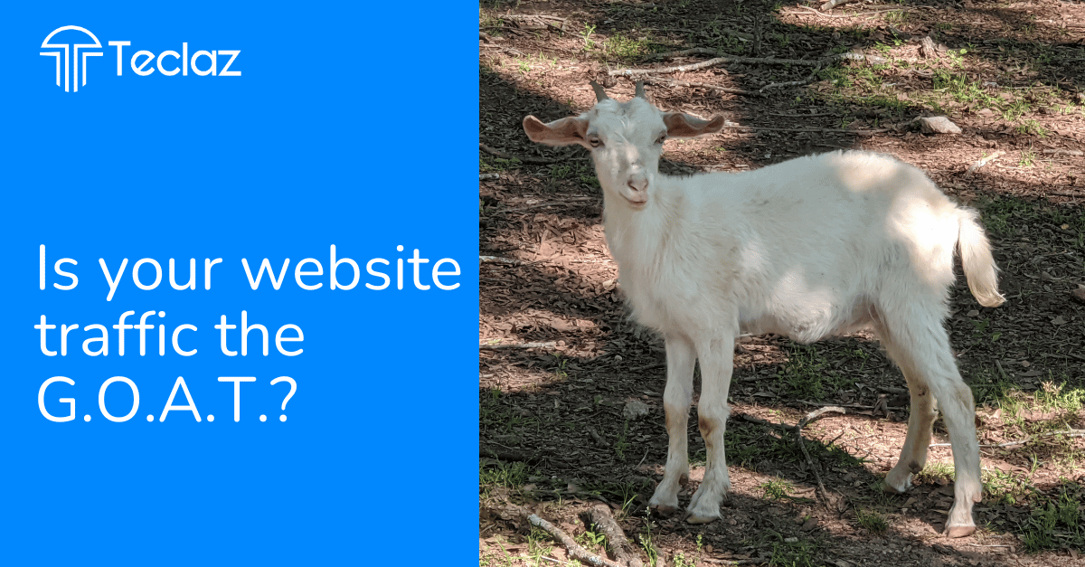 Is Your Website Traffic Working for You?