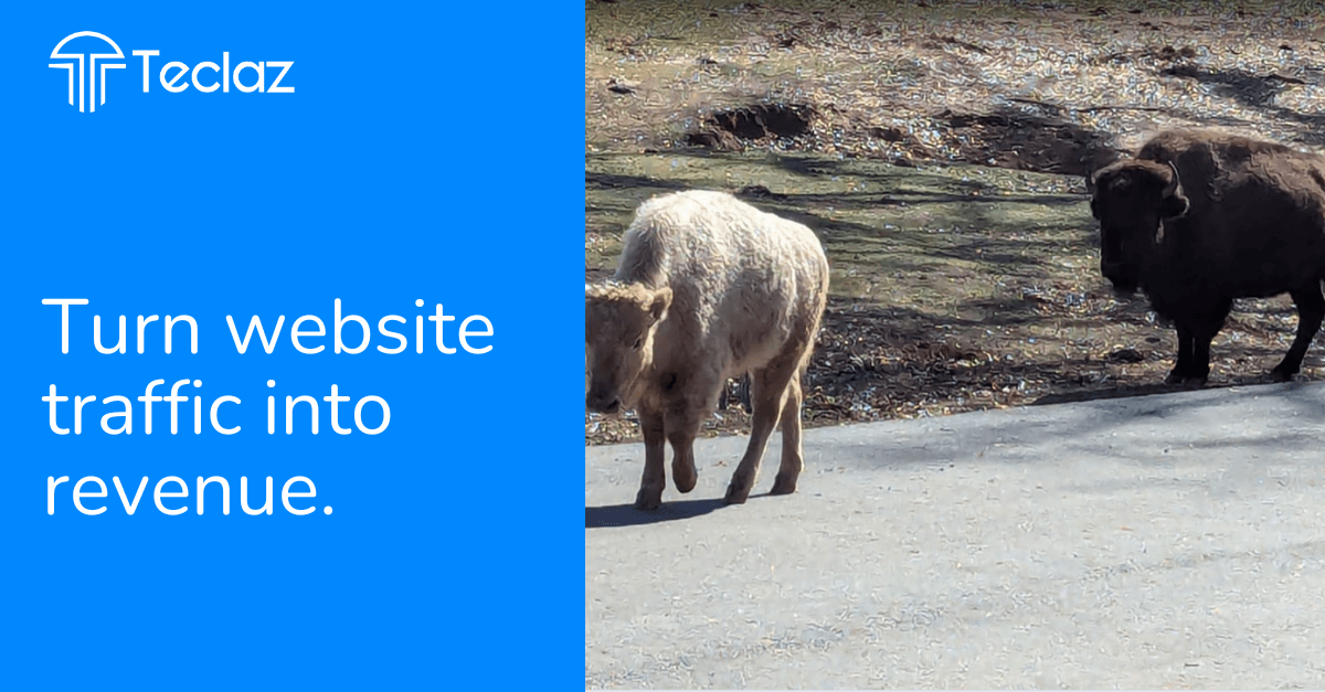 AI Analytics for Small Businesses. Turn Website Traffic Into Revenue.