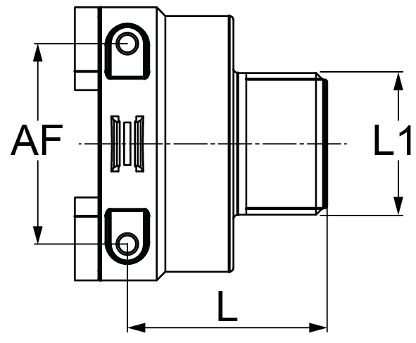 Schemi del prodotto Raccordo filettato attacco a forchetta femmina