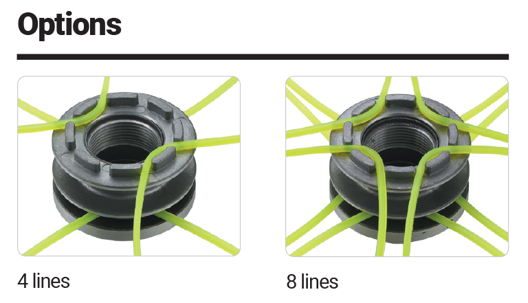 Dettagli in evidenza del prodotto Whips 8/16AA