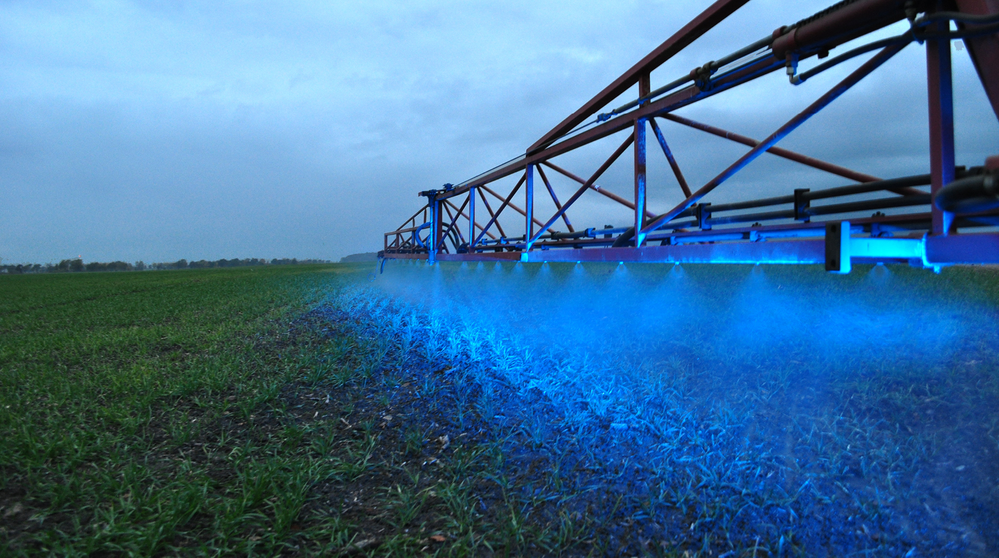 Foto del prodotto BLUE BOOM