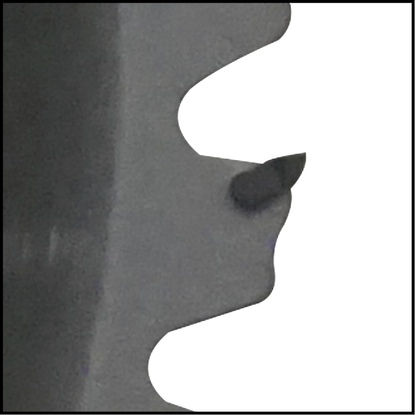 Dettagli in evidenza del prodotto Disco per decespugliatore a 40 denti