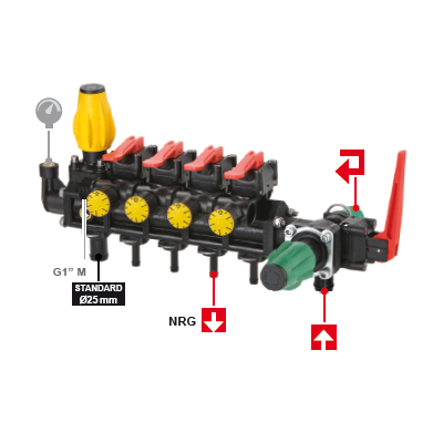 Photo of the product BASIC 206