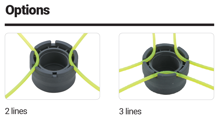 Dettagli in evidenza del prodotto Whips 3/6