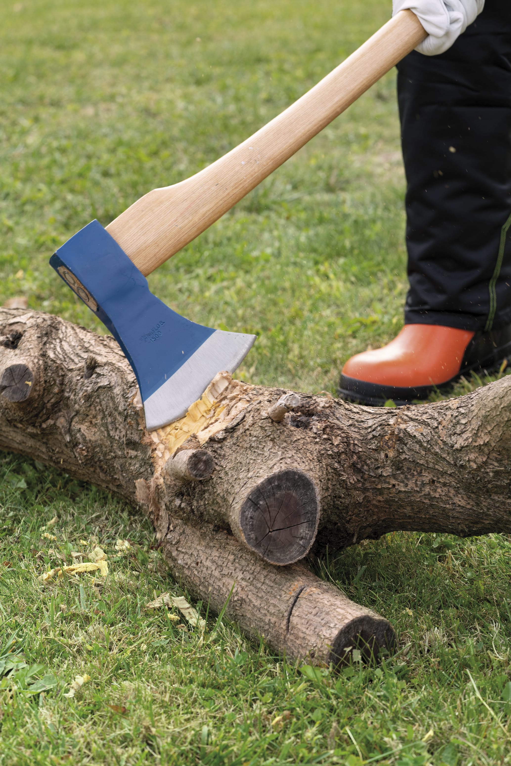 Photo of the product Axe