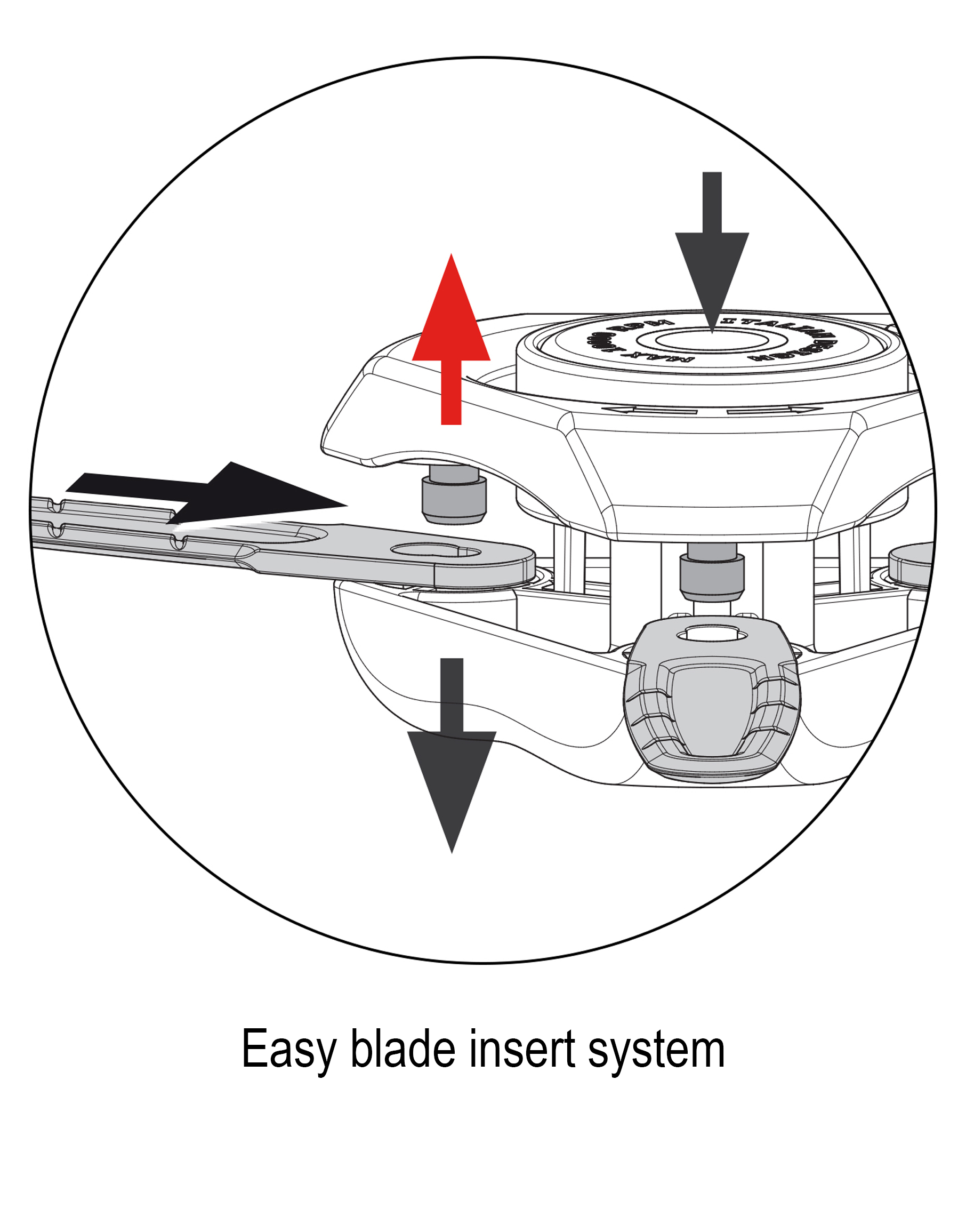 Dettagli in evidenza del prodotto BL3