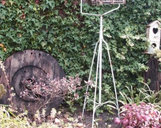 Créer un jardin vintage : quelles plantes et accessoires choisir ?