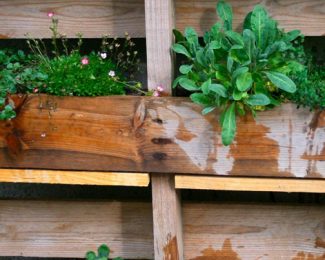 DIY terrasse et balcon : fabriquez votre jardinière en palette