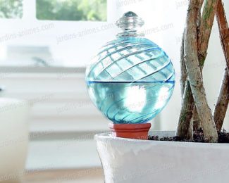 Comment arroser vos plantes d’intérieur pendant vos vacances : découvrez 5 solutions !