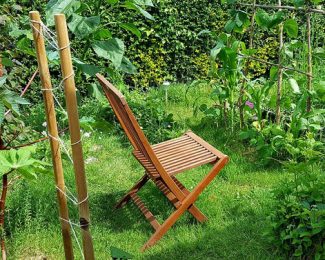 Un jardin en permaculture : en quoi cela consiste ?
