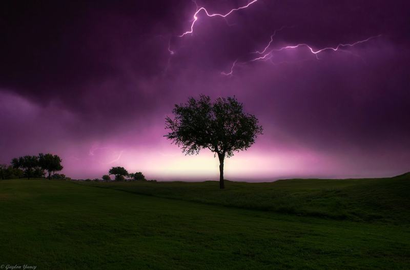 Lightning bolts across a purple night sky above a dark, open fairway with a single tree standing in the middle.