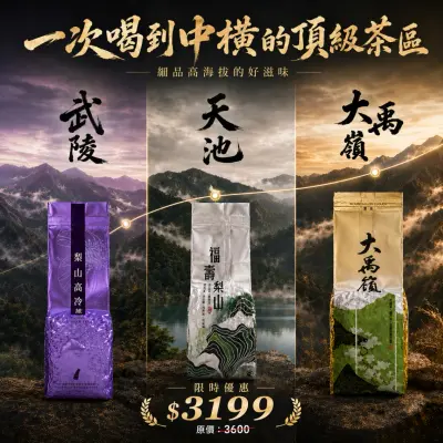 中橫公路頂級茶區