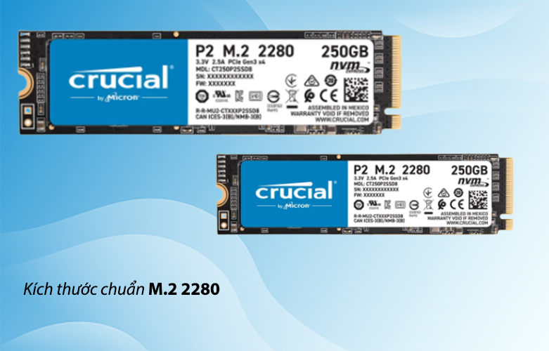 Ổ cứng SSD Crucial P2 250GB 3D NAND NVMe PCIe M.2 (CT250P2SSD8) | Kích thước chuẩn M.2