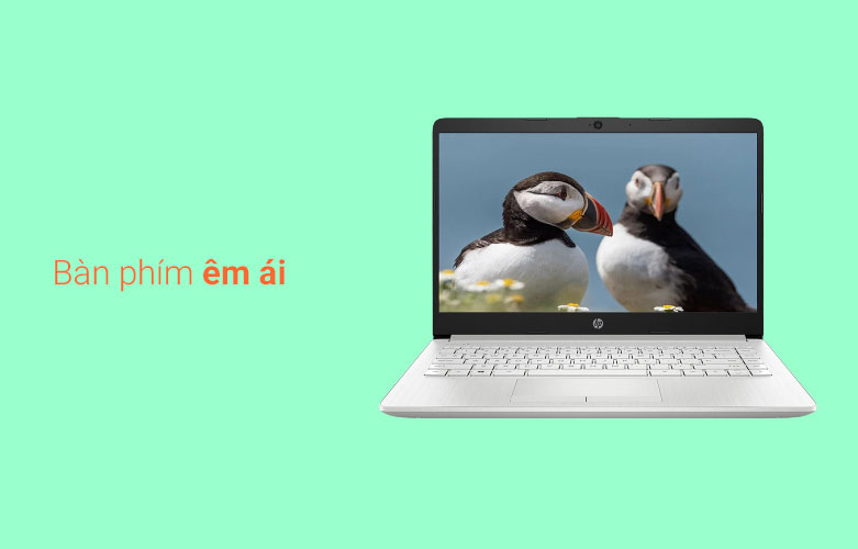 Laptop HP 14s-cf2527TU (4K4A1PA) (i3-10110U) (Bạc)| Bàn phím êm ái