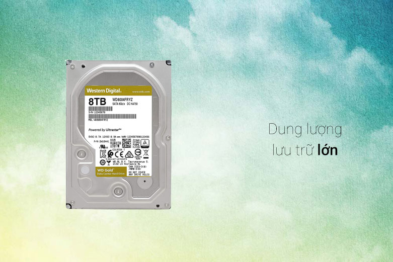 Ổ cứng HDD Desktop WD Gold (WD8004FRYZ) | Dung lượng lưu trữ lớn