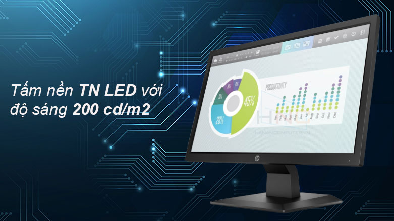 Màn hình LCD HP 19.5 inch P204v | Tấm nền TN LED