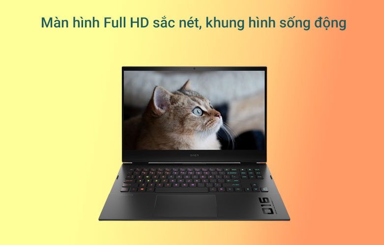 Laptop HP OMEN 16-b0178TX | Màn hình sắc nét FULL HD