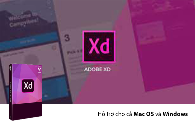 Phần mềm Adobe XD CC for teams | Hỗ trợ cho cả mac và windows