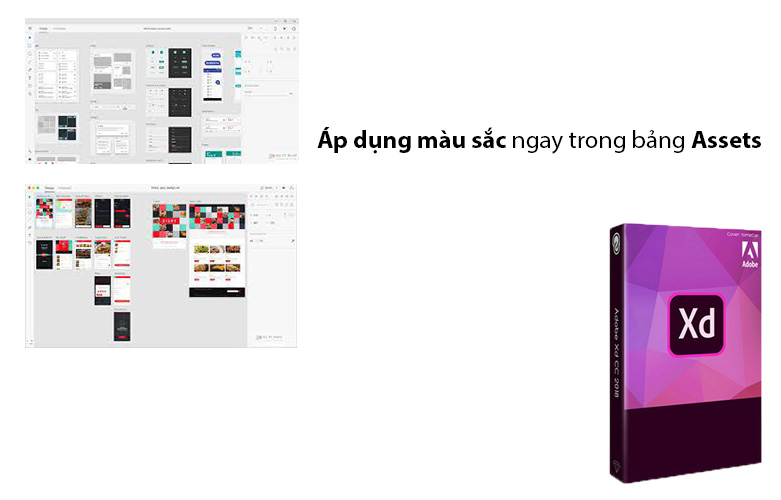 Phần Mềm Adobe Xd Cc For Teams All Multiple Platforms Multi Asian Languages  | Phong Vũ