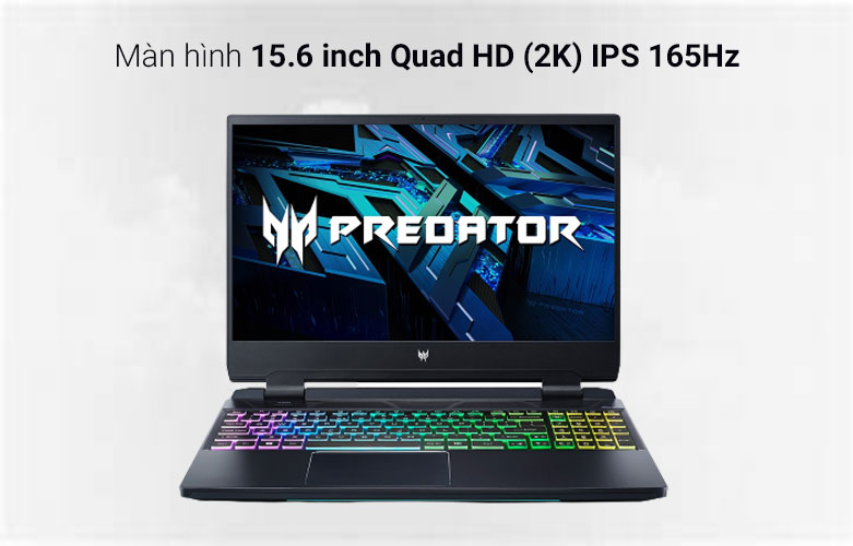 Màn hình sắc nét 15.6 inch Quad HD (2K) IPS 165Hz