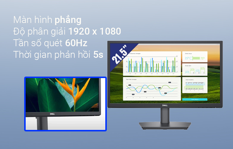 Màn hình LCD Dell 21.5'' E2222HS | Màn hình phẳng