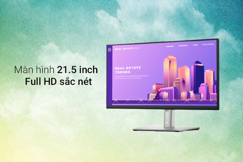 Màn hình LCD Dell 21.5'' P2222H| Màn hình 21.5 inch 