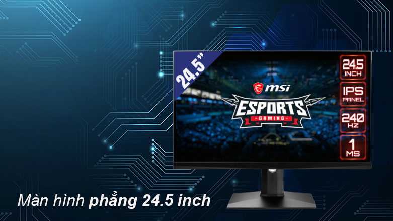 Màn hình LCD MSI 24.5' Optix MAG251RX| Màn hình phẳng 24,5 inch 